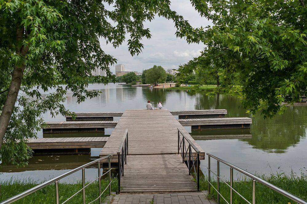 На пруду городского парка