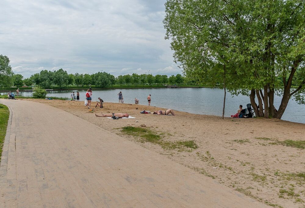На пруду городского парка
