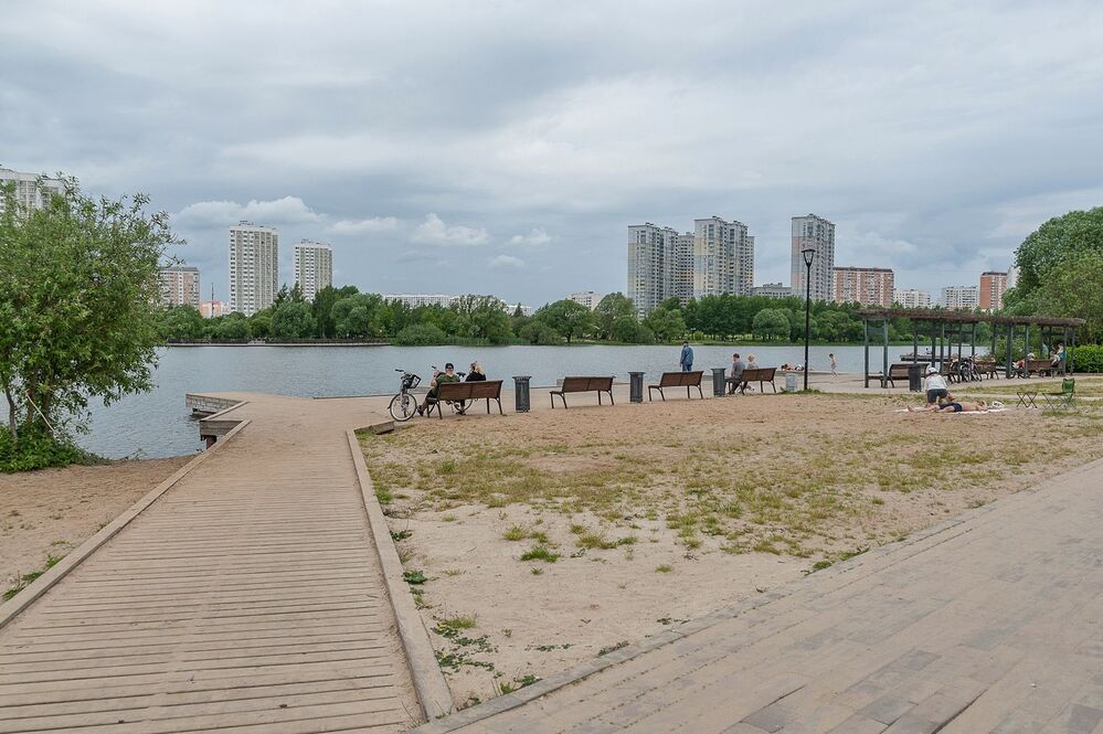 На пруду городского парка