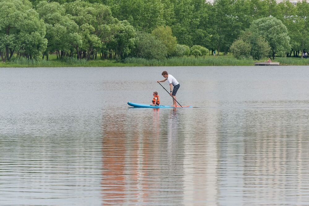 На пруду городского парка