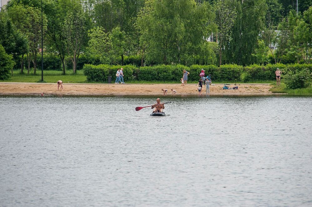 На пруду городского парка