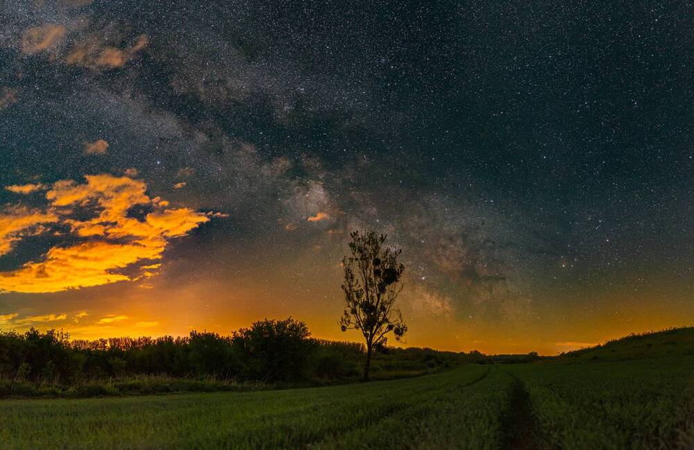 The Colors Of The Night