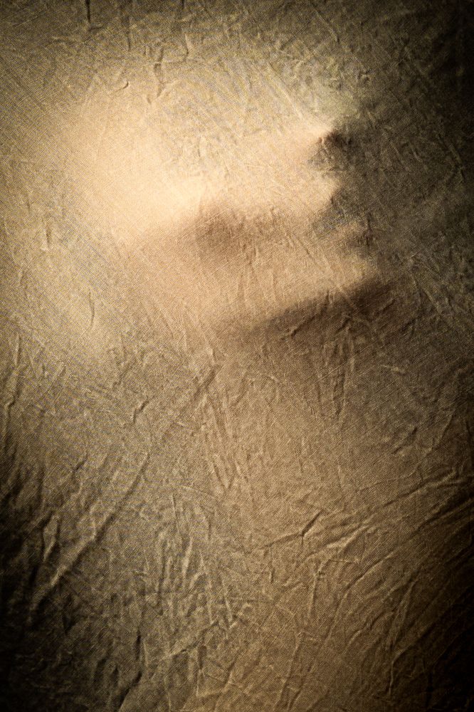 Photo 2199546