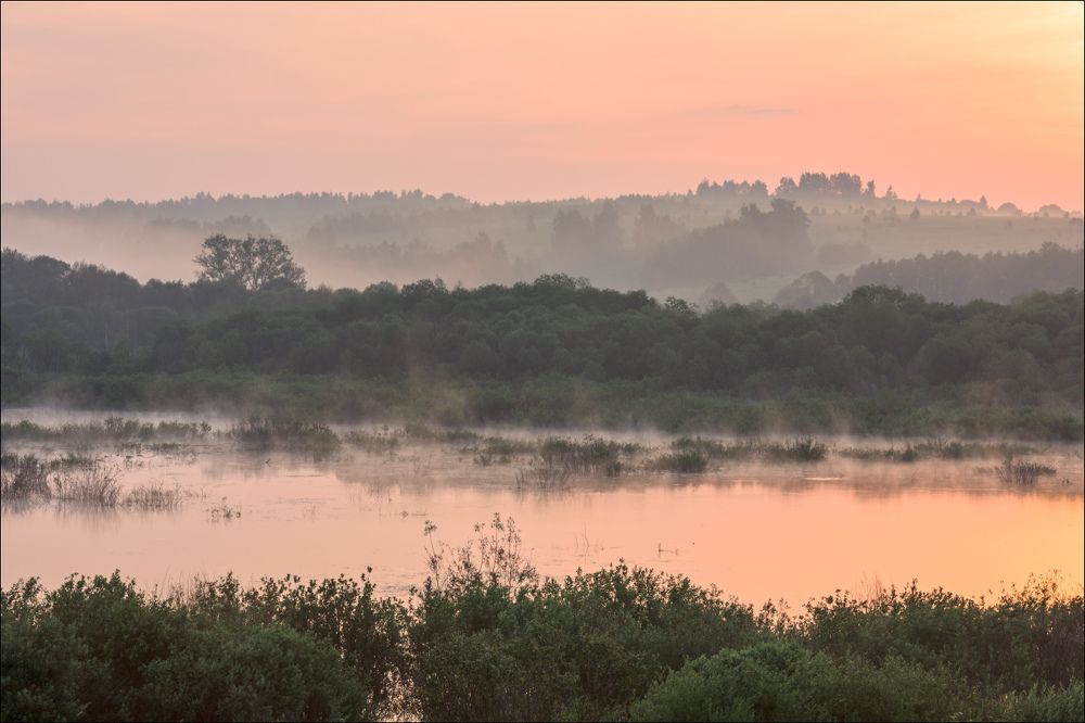 Розовые дали
