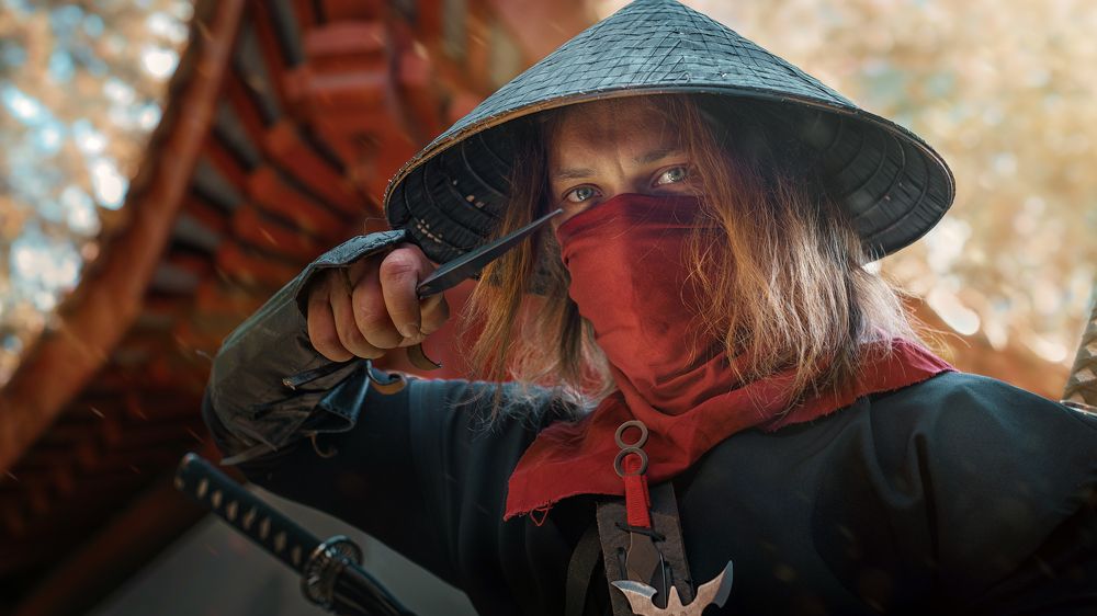 Ninja tale