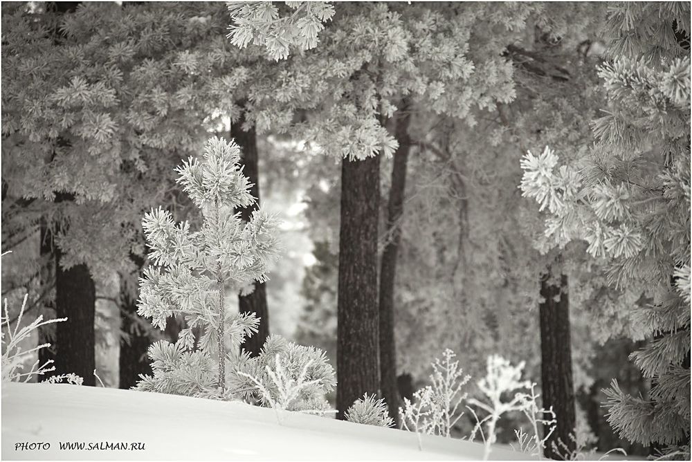 Photo 220620