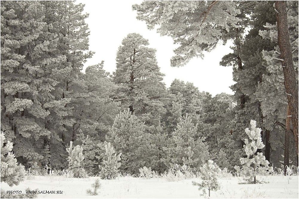 Photo 220622