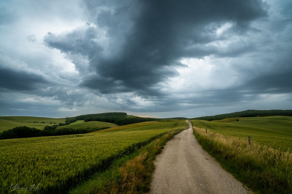 In the storm