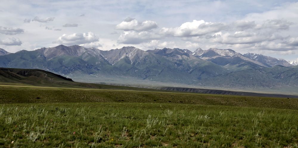 Photo 2201538