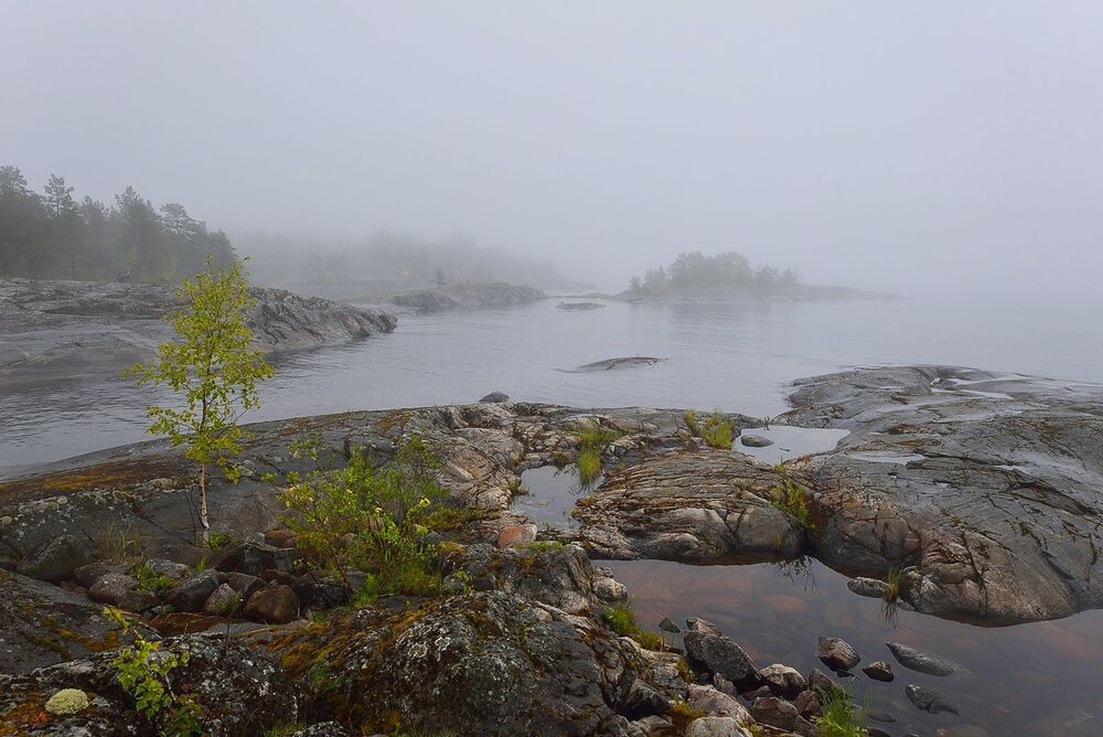Photo 2204629