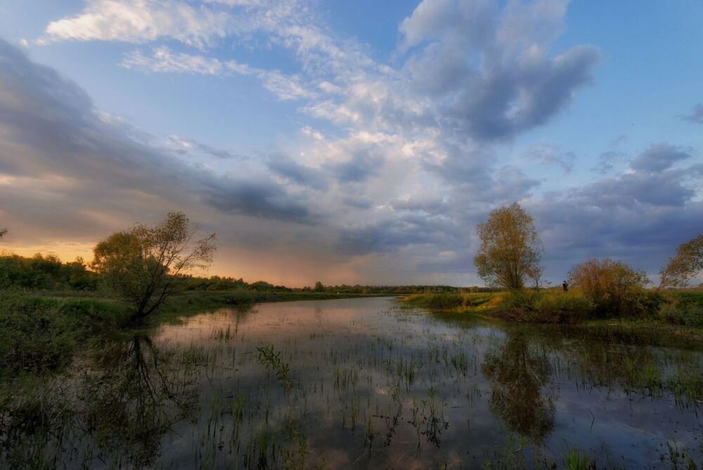 Photo 2204636