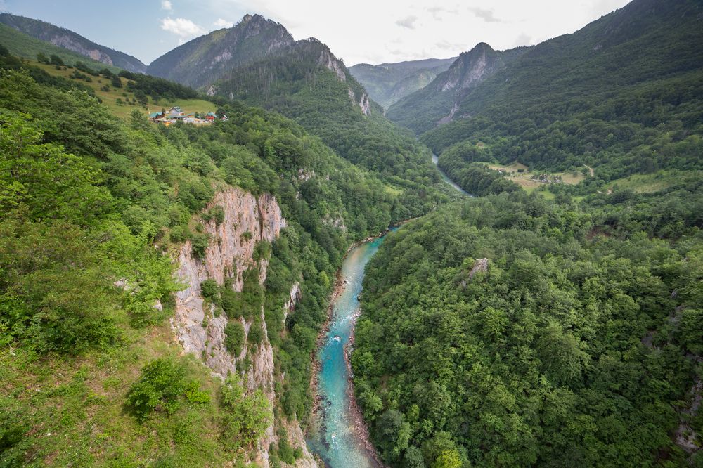 Каньон реки Тара