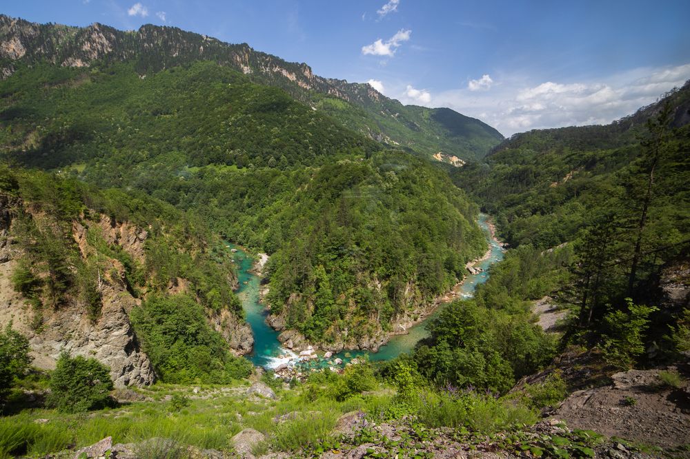 Каньон реки Тара
