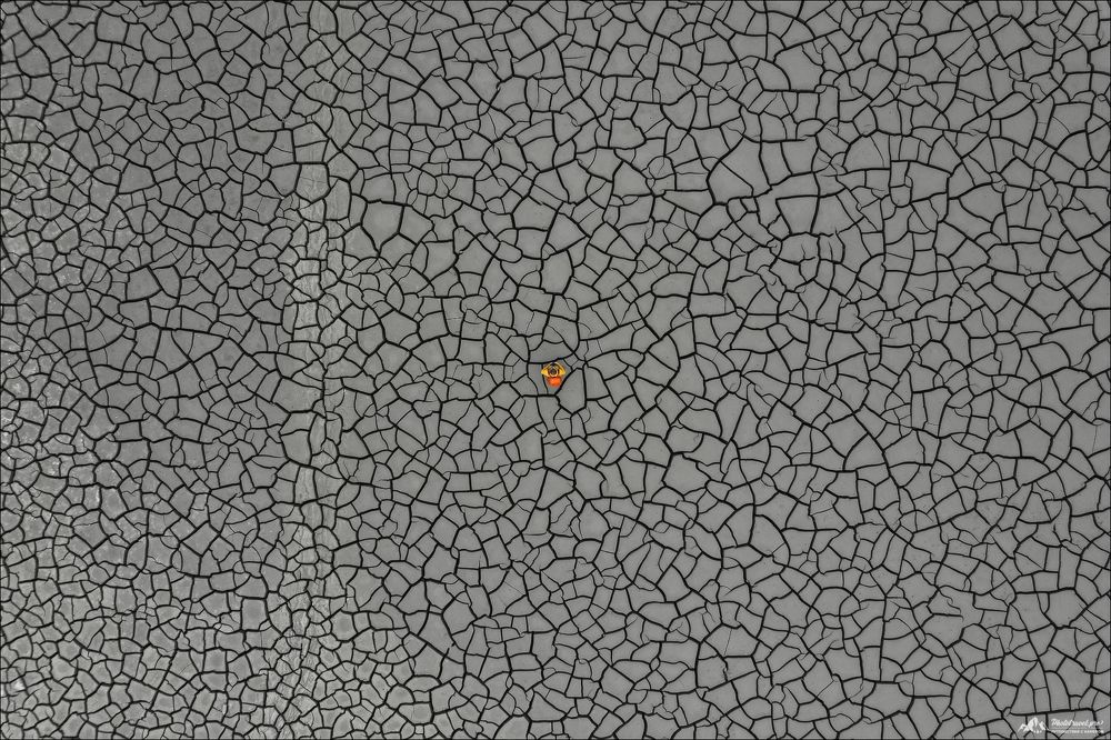Cracked Land