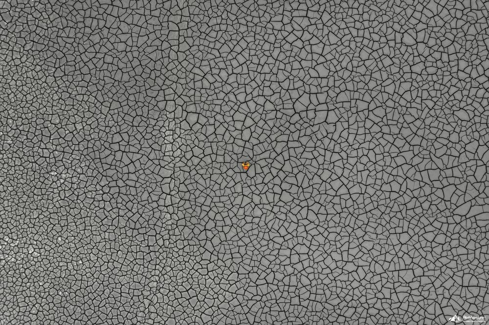 Cracked Land