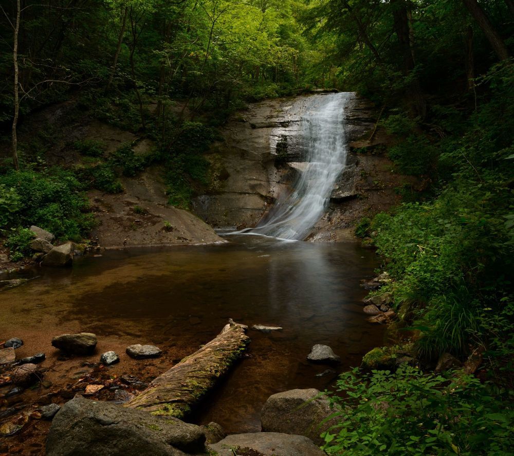 Photo 2206931