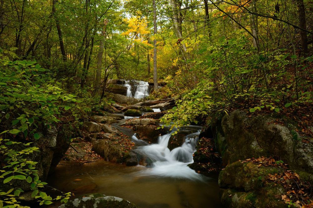 Photo 2206939