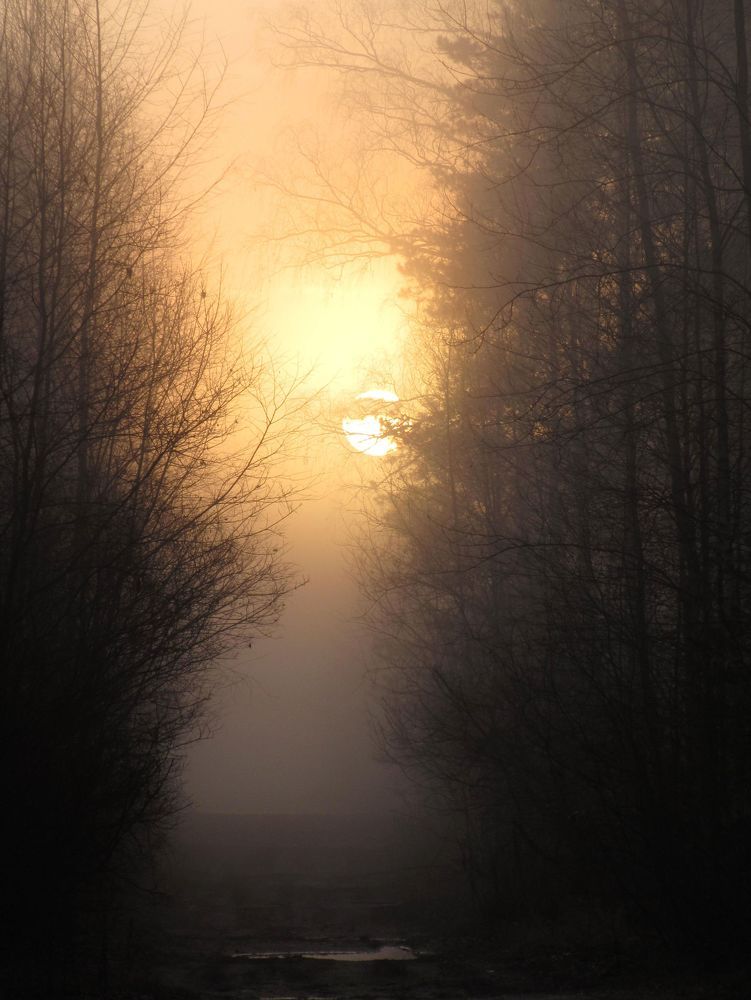 Photo 2207760