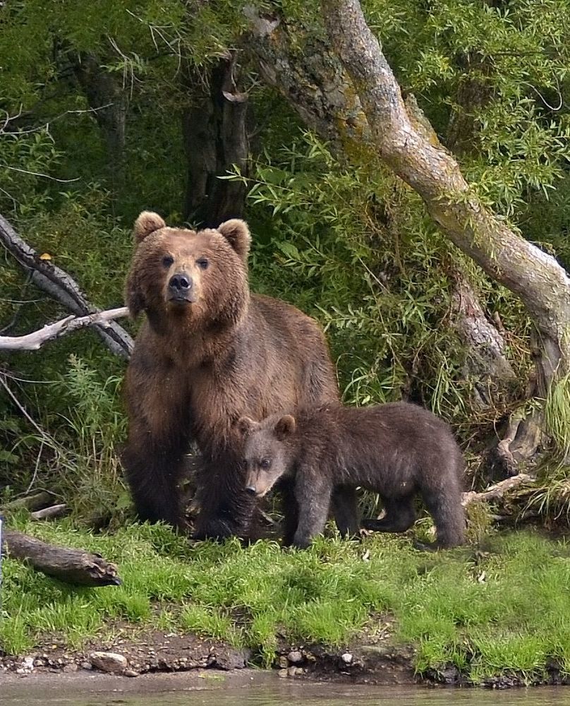 Photo 2207763