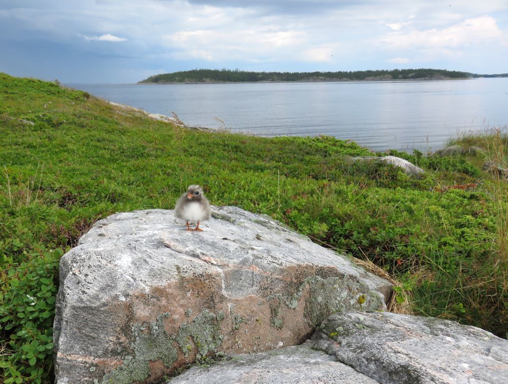 Photo 2207766