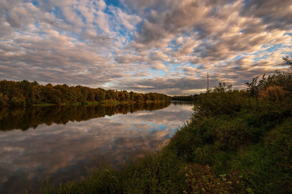 Photo 2208392