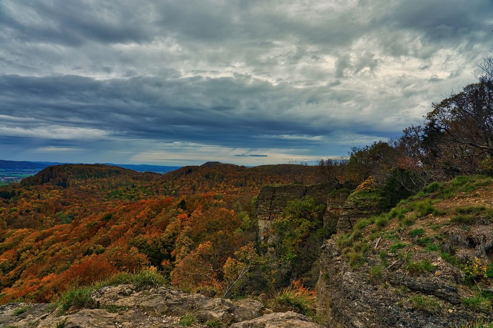 Осень краски разбросала