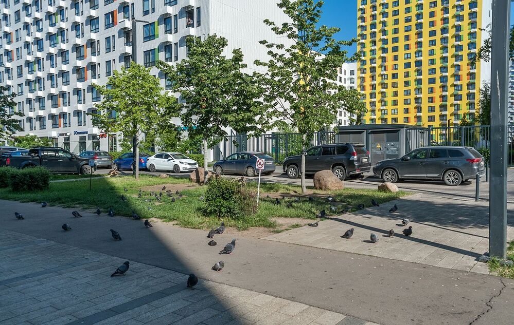 Утро московское