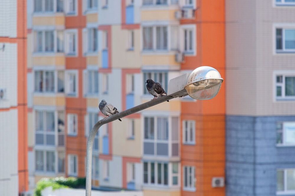 Утро московское