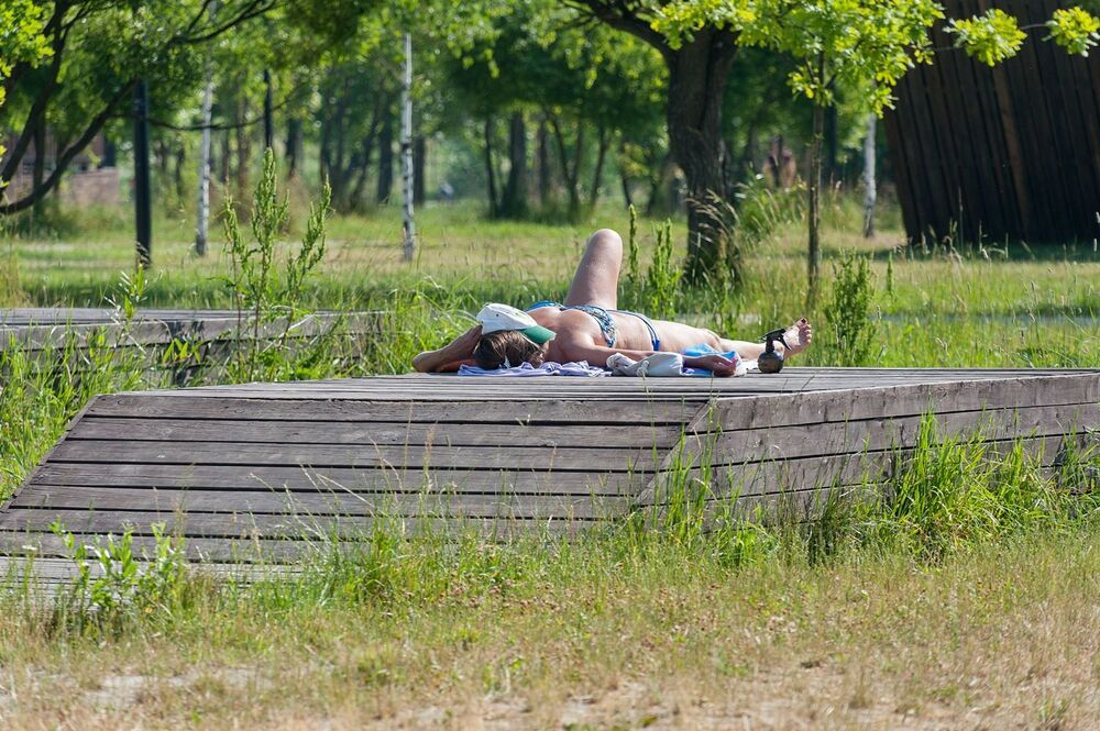 В городском парке