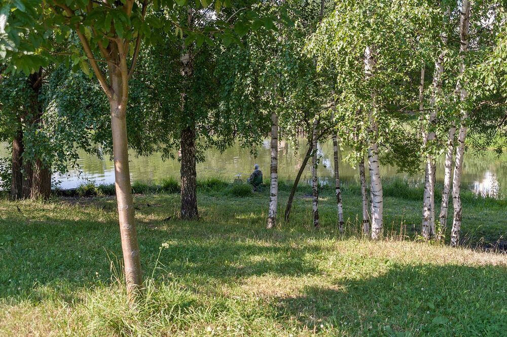 В городском парке