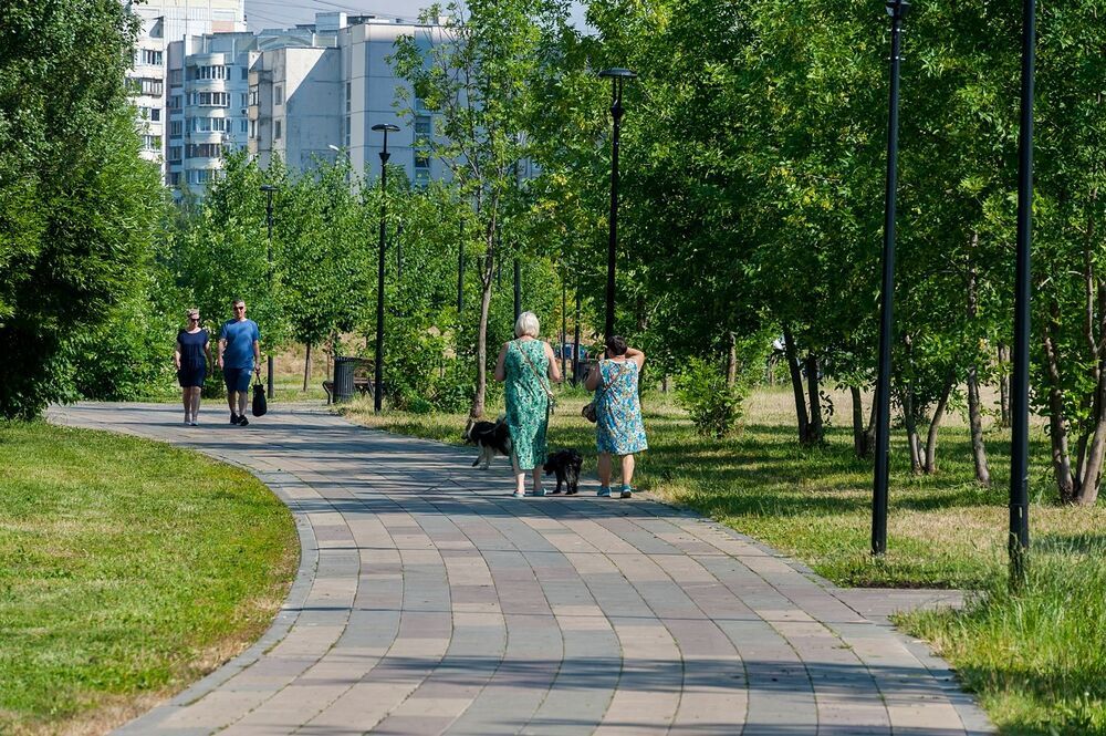 В городском парке