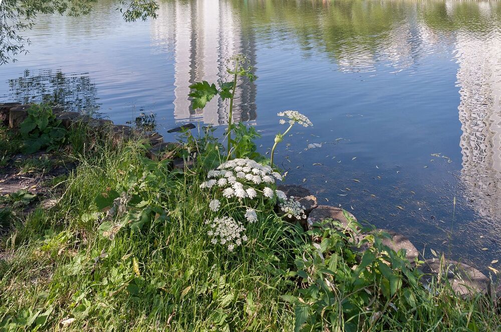 В городском парке