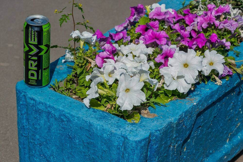 В городском парке