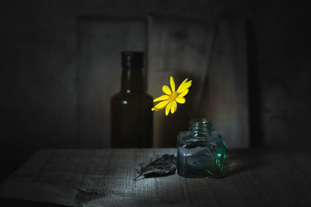 Still life