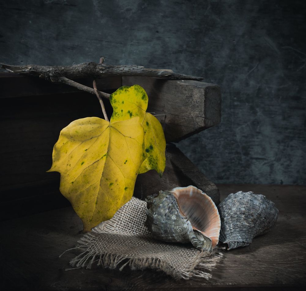 Still life