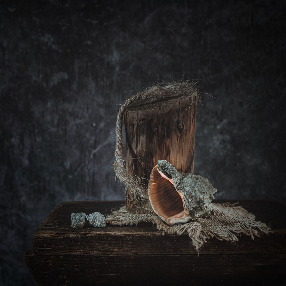 Still life