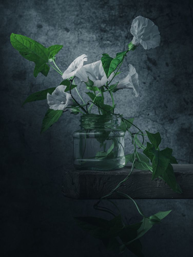 Still life