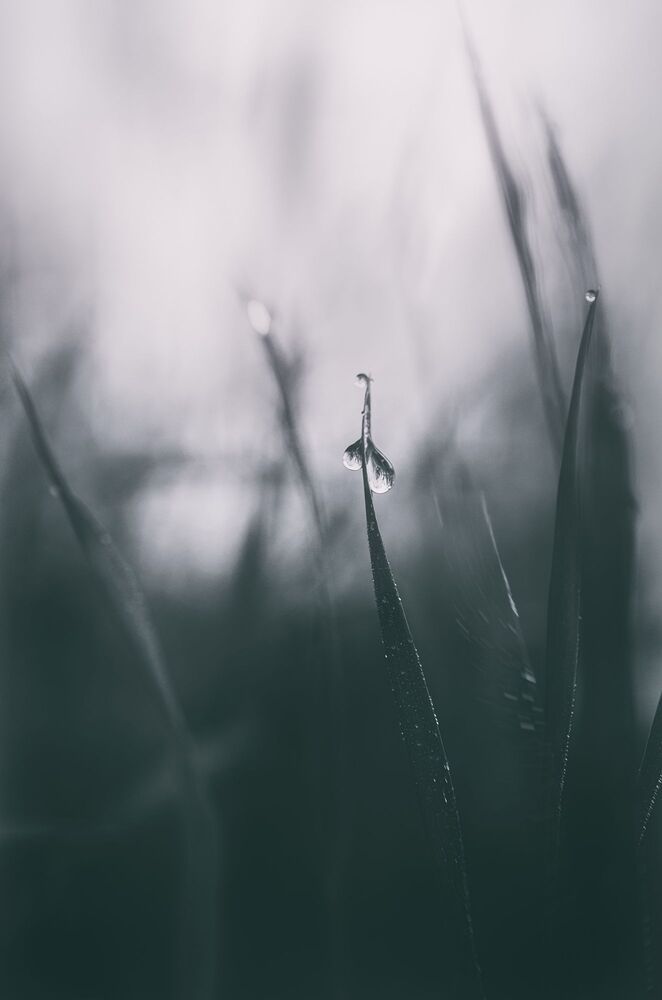 Природа