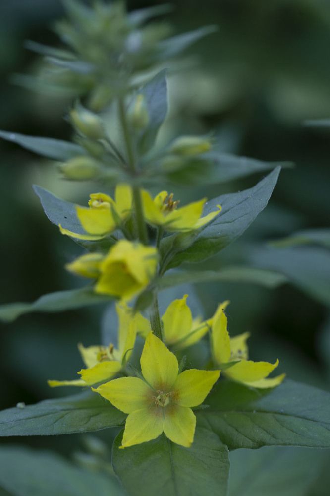 Photo 2211773