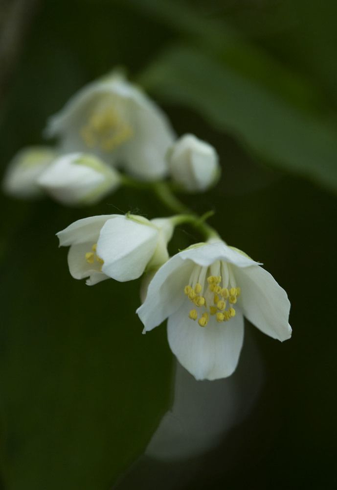 Photo 2211774