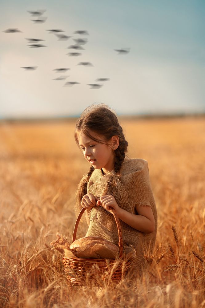Wheat Field
