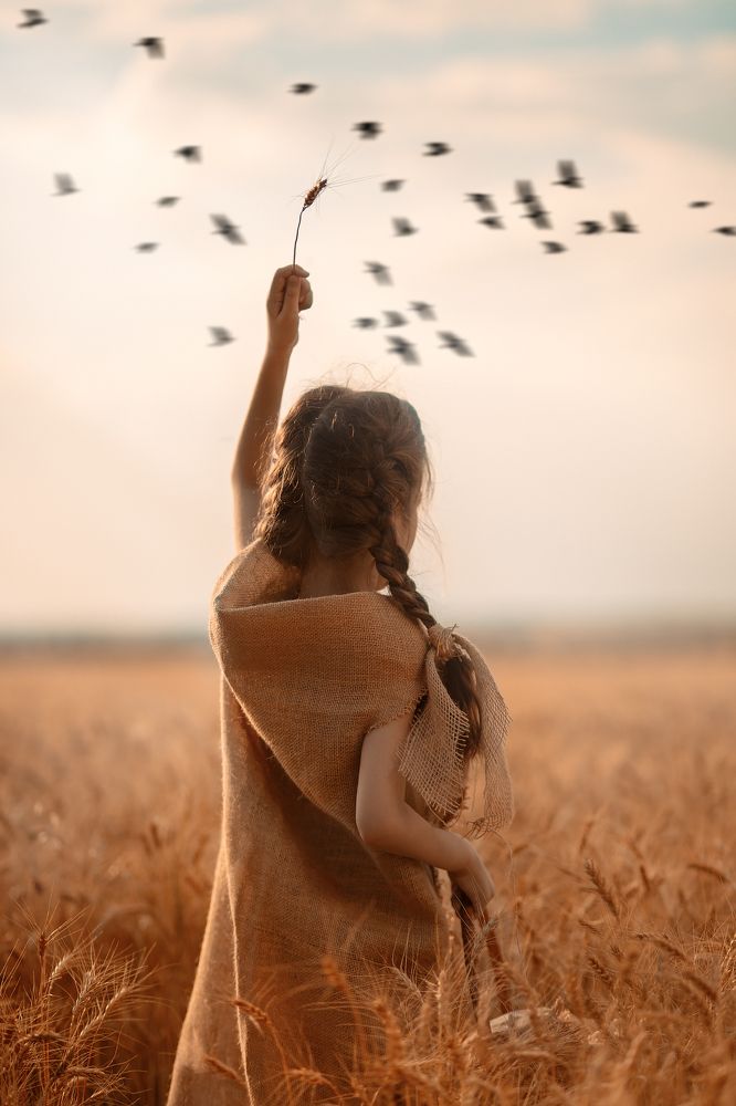 Wheat Field
