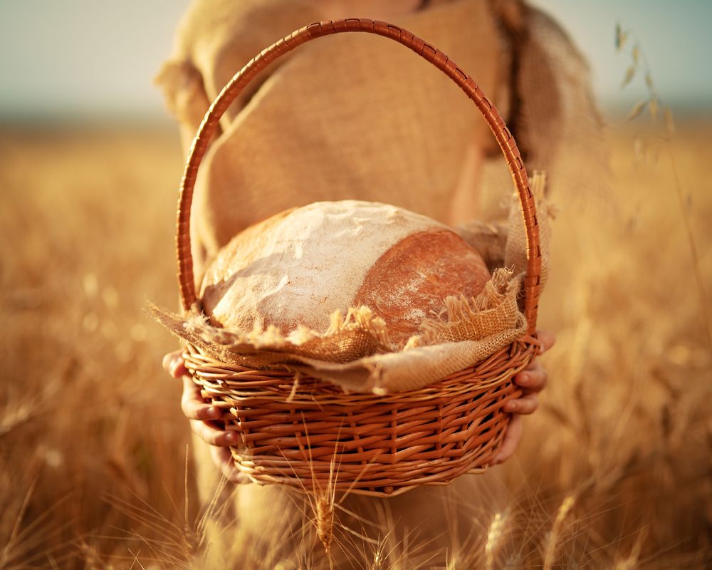 Wheat Field