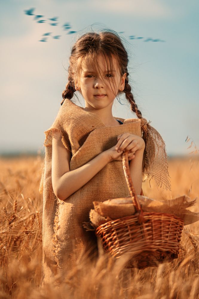 Wheat Field