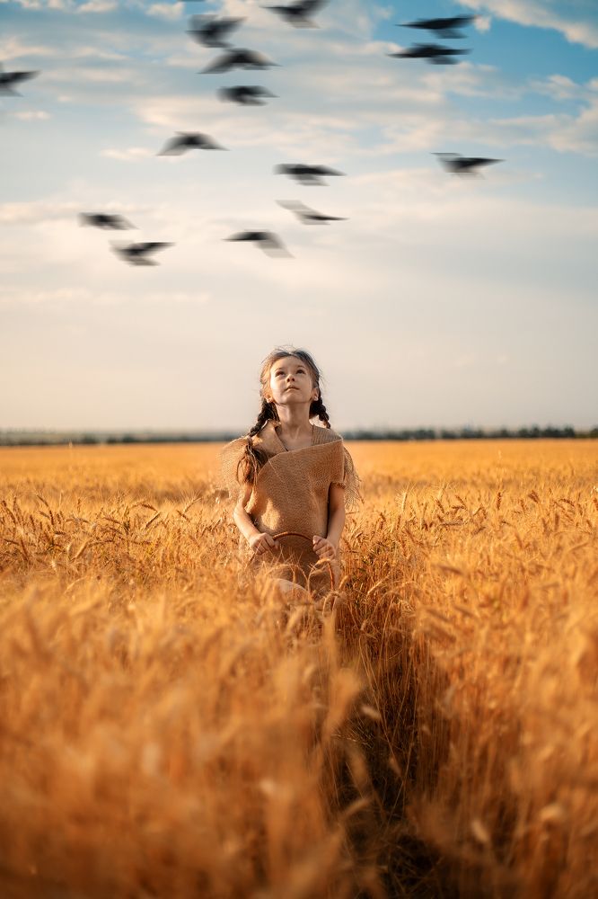 Wheat Field