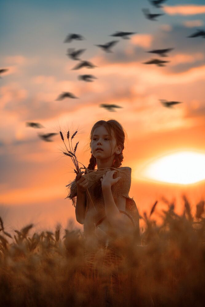 Wheat Field