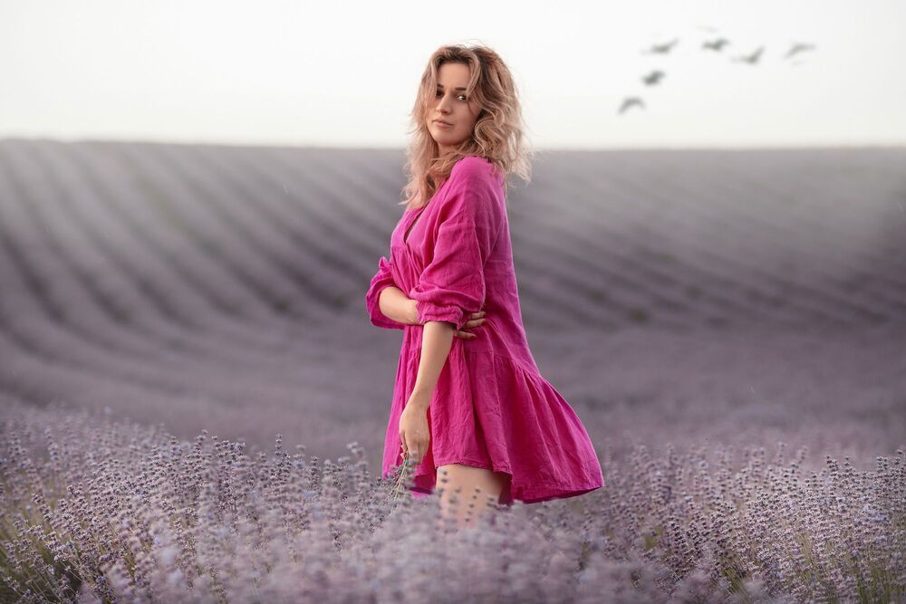 Lavender Fields