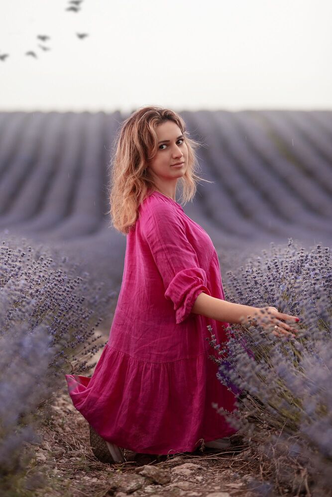 Lavender Fields