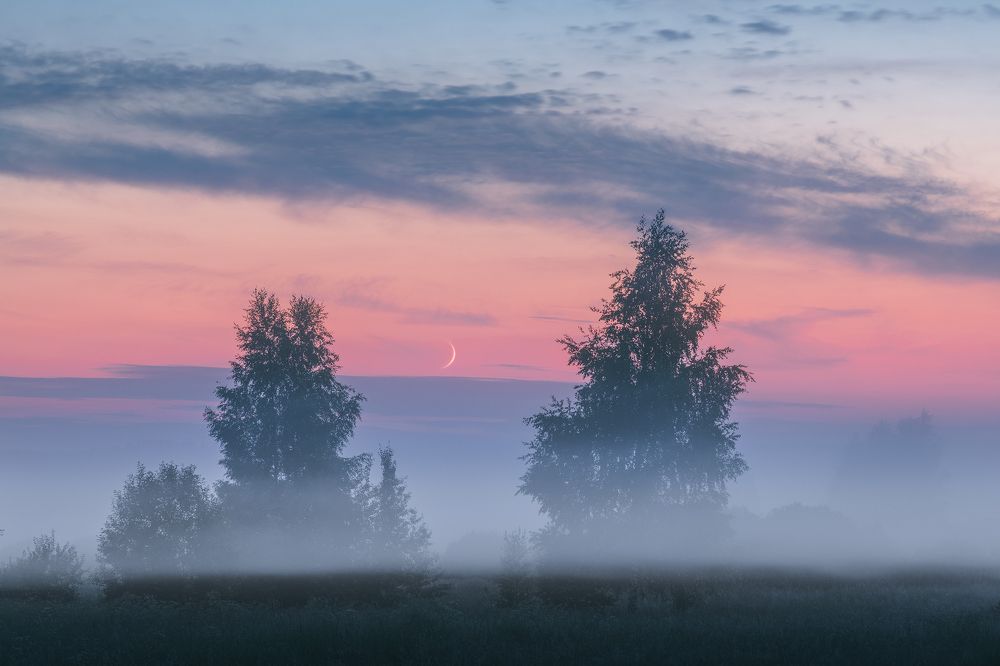 Туманы Пушкиногорья