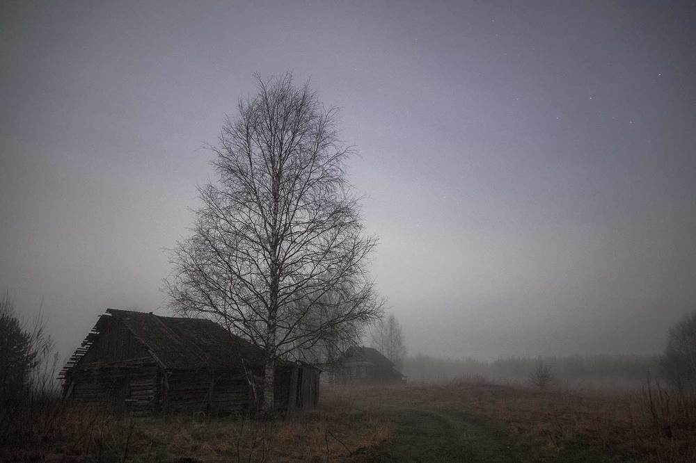 Деревня в тумане